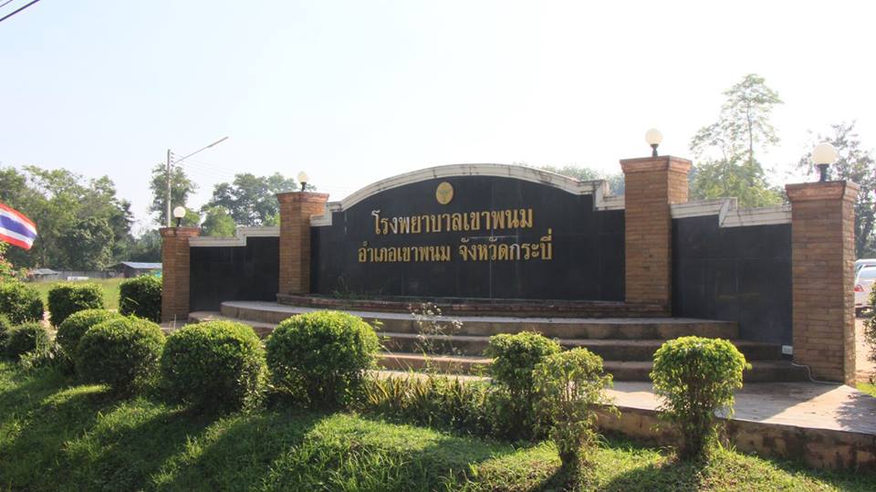 news_172_1787408784