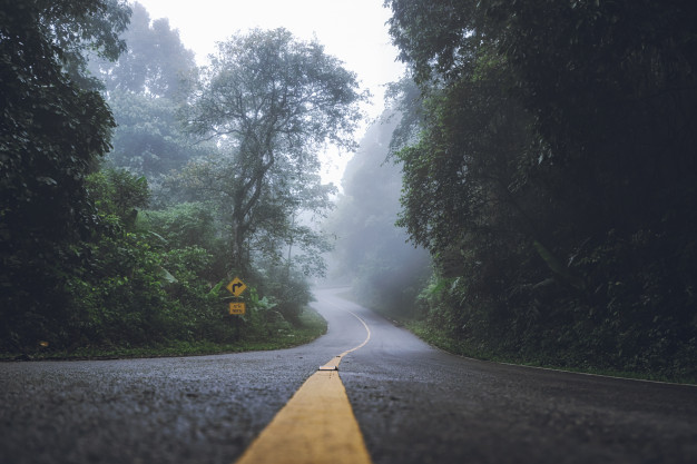 landscape-dense-fog-roads-road-signs-forest-winter_56644-145