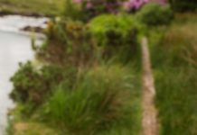 แนวปฏิบัติการให้บริการยุติการตั้งครรภ์ สำนักงานประกันสังคม Hand holding old fashioned compass showing the way on a country trail