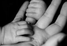 วงเสวนาเสนอเปลี่ยน ‘วันพ่อ-วันแม่แห่งชาติ’ เป็น ‘วันบุพการีสากล’