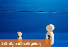 เดินหน้าสิทธิอนามัยเจริญพันธุ์ หนุนยุติการตั้งครรภ์อย่างปลอดภัย – สำนักงานกองทุนสนับสน